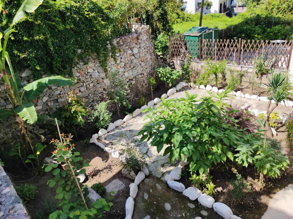 Flower House Chorefton Zewnętrze zdjęcie
